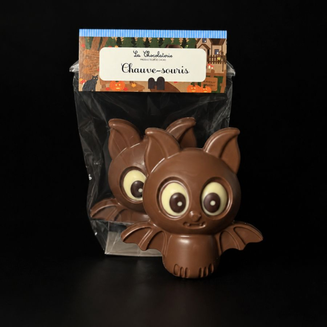 MOULAGE CHAUVE-SOURIS