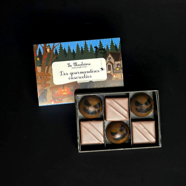Coffret 6 chocolats - Douceurs ensorcelées