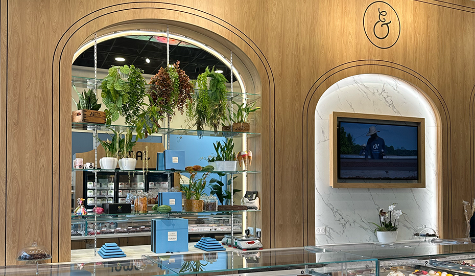 Boutique Jampi et La Chocolaterie